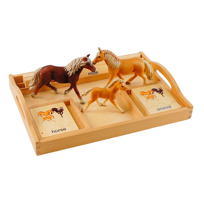 Animal Family- Horse， Custom Text，Bilingual，Monolingual