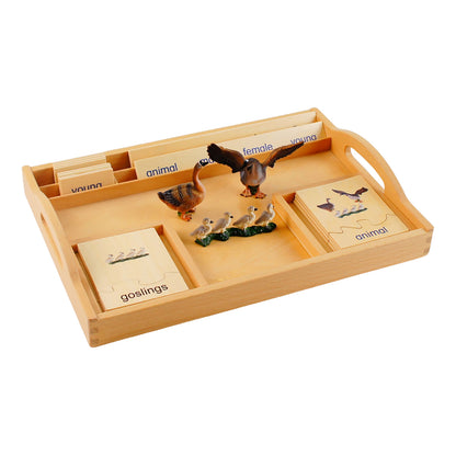 Animal Family- Goose， Custom Text，Bilingual，Monolingual