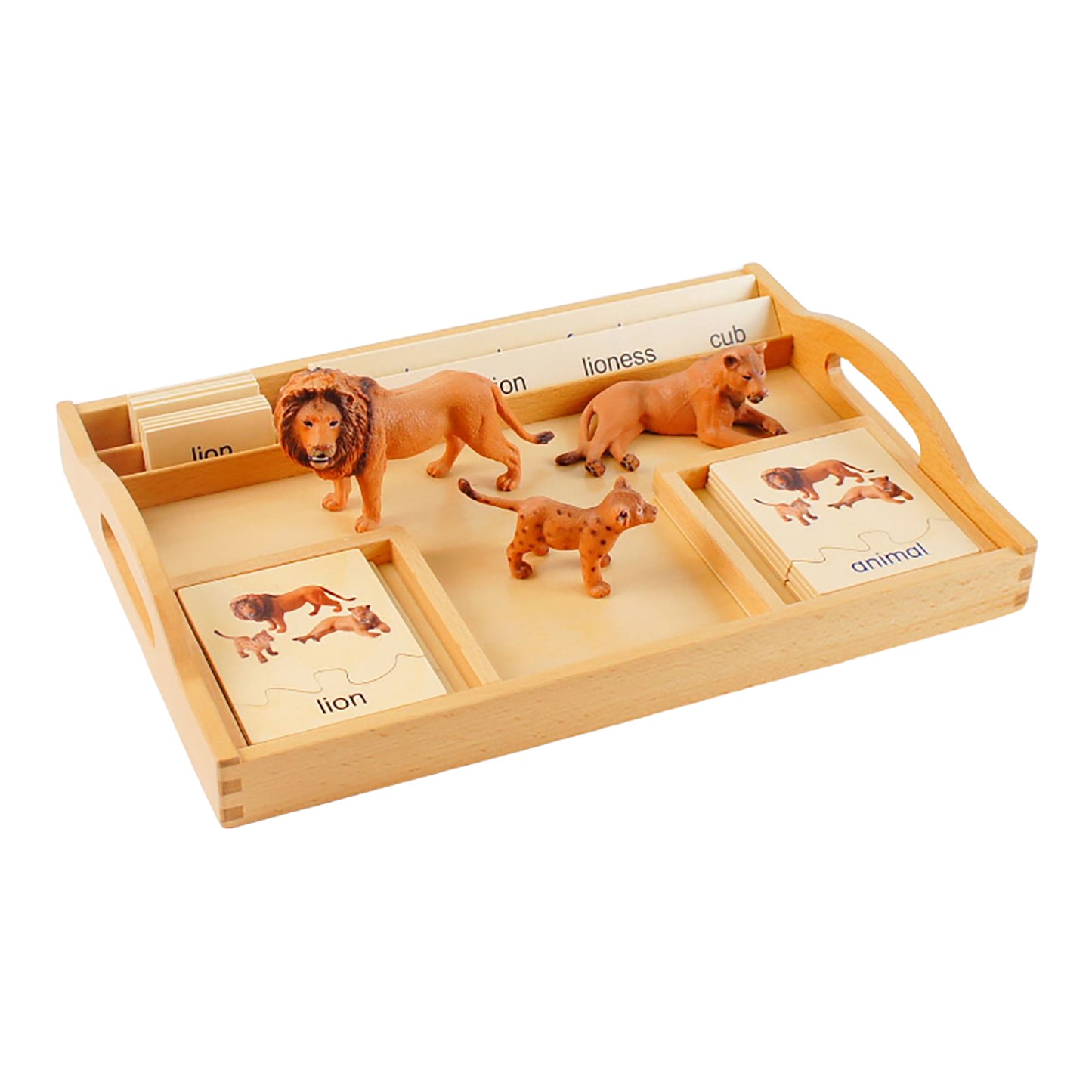 Animal Family- Lion， Custom Text，Bilingual，Monolingual