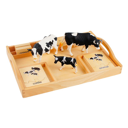 Animal Family- Cattle， Custom Text，Bilingual，Monolingual