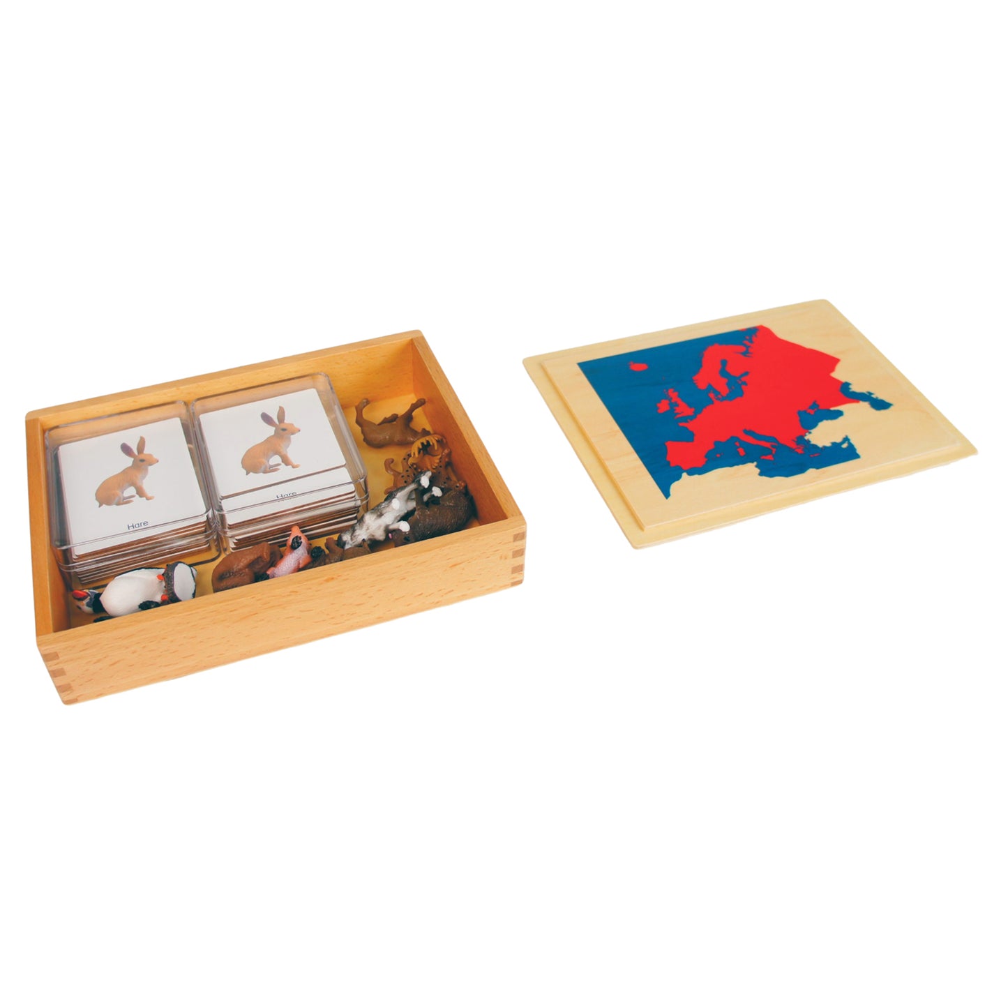 Mini-animaux continentaux – Amérique du Nord, texte personnalisé, bilingue, monolingue