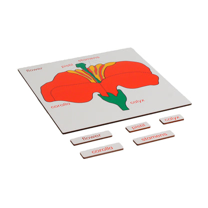 Parts of Plants - Flower, Custom Text, Bilingual, Monolingual