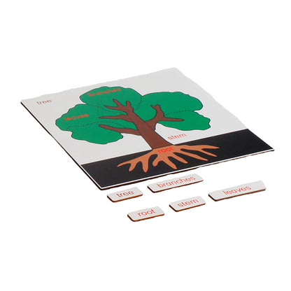 Parts of Plants - Tree, Custom Text, Bilingual, Monolingual