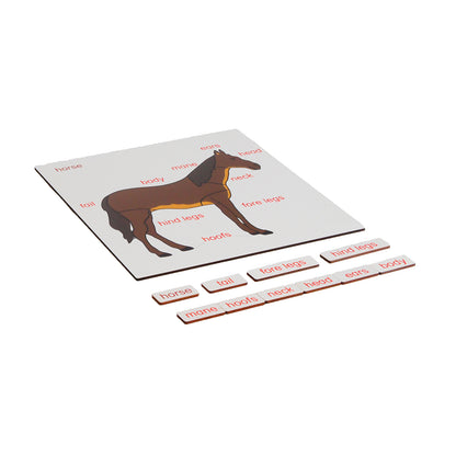 Parts of Animals - Horse, Custom Text, Bilingual, Monolingual