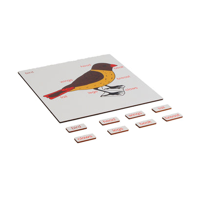 Parts of Animals - Bird, Custom Text, Bilingual, Monolingual