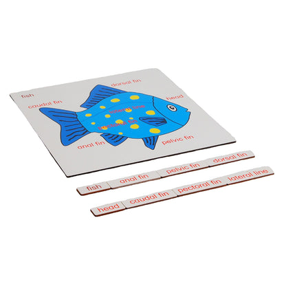 Parts of Animals - Fish, Custom Text, Bilingual, Monolingual