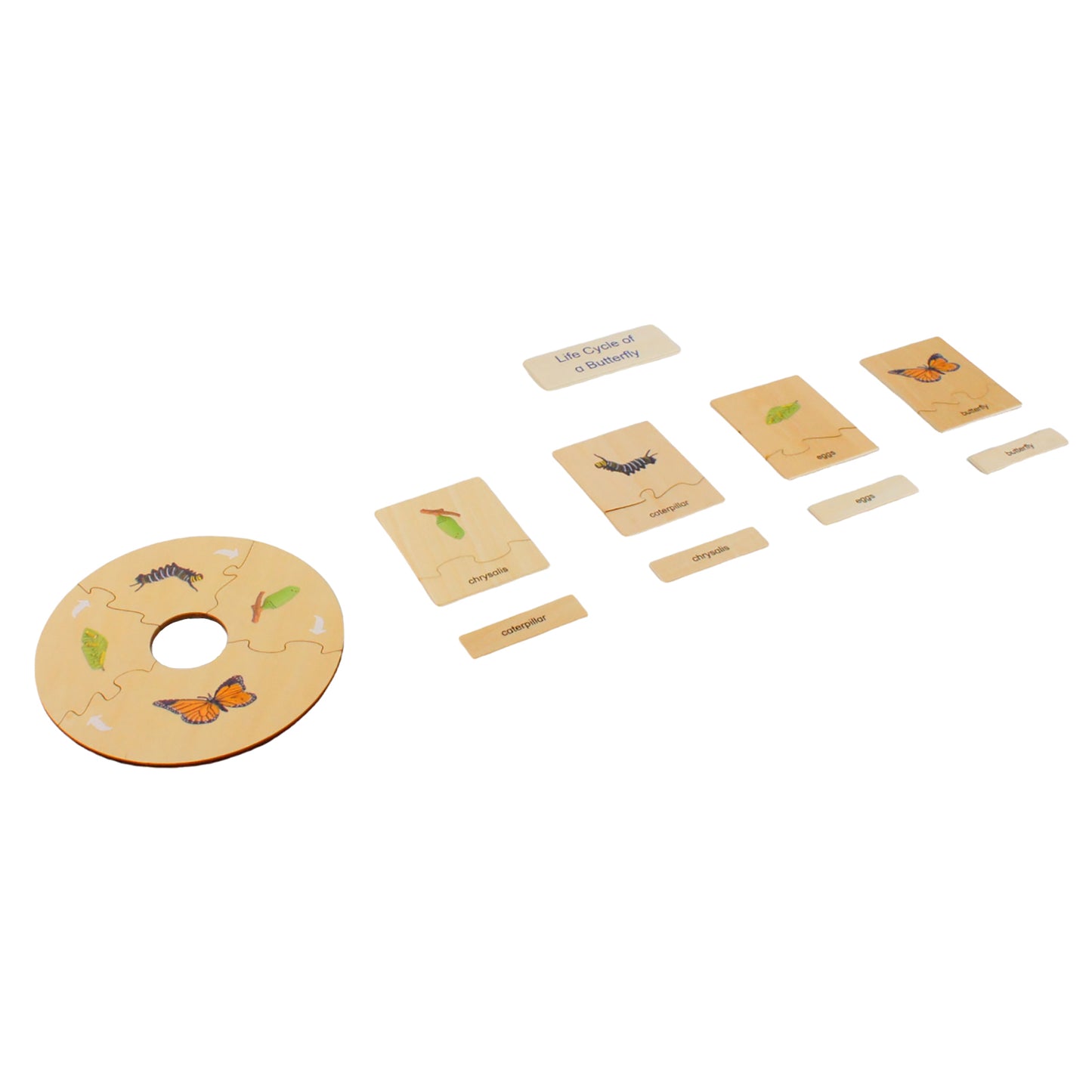 Life Cycle- Butterfly, Custom Text, Bilingual, Monolingual