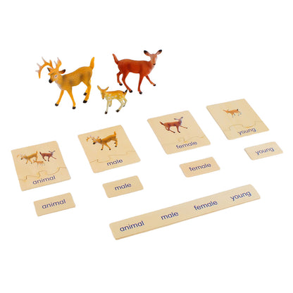 Animal Family- Deer， Custom Text，Bilingual，Monolingual