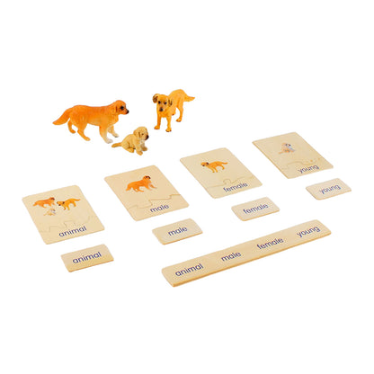 Animal Family- Dog， Custom Text，Bilingual，Monolingual