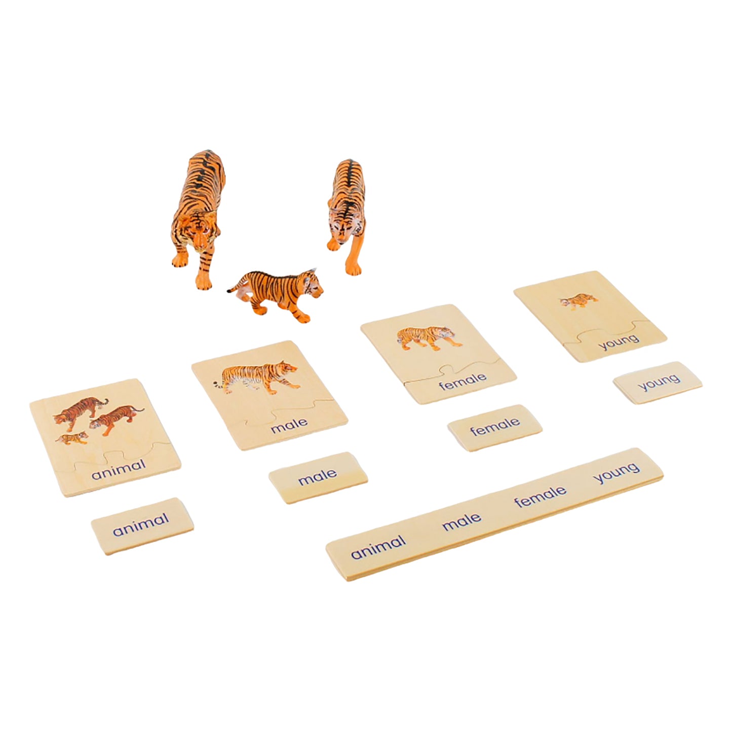 Animal Family- Tiger， Custom Text，Bilingual，Monolingual