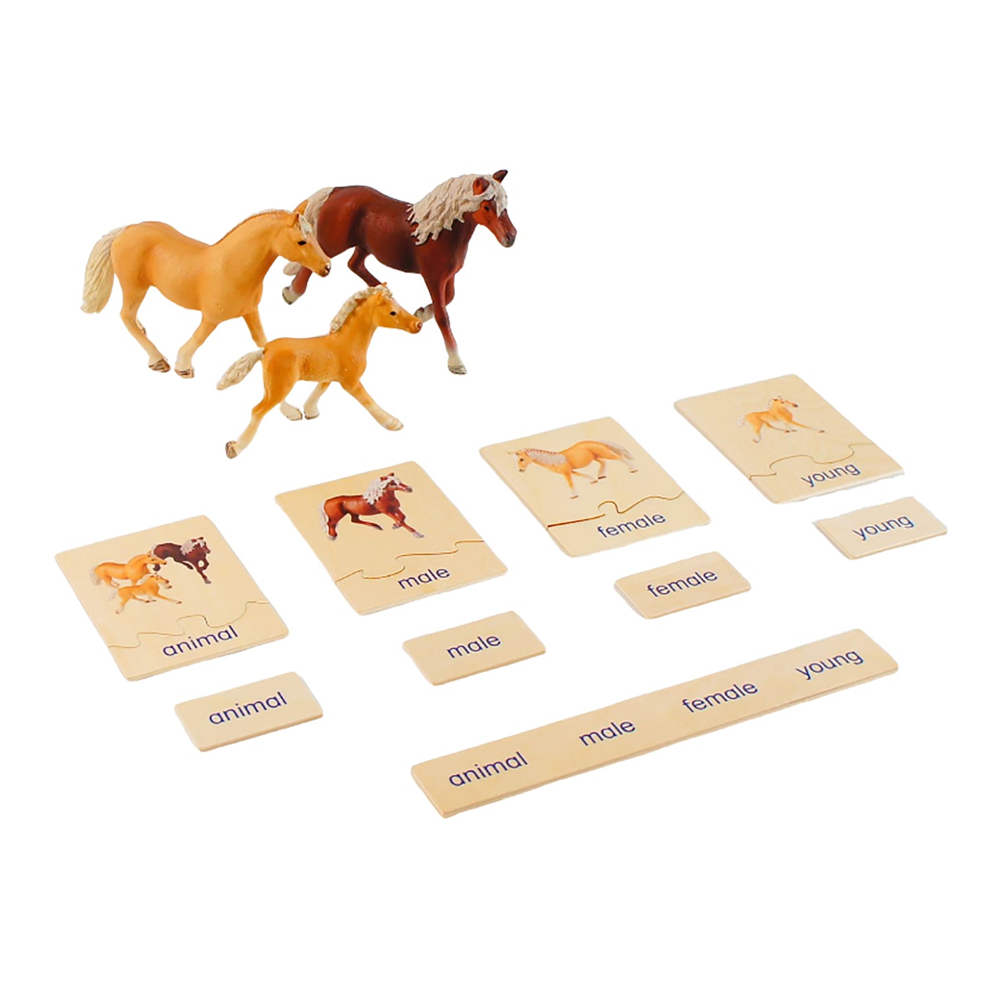 Animal Family- Horse， Custom Text，Bilingual，Monolingual