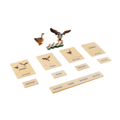 Animal Family- Duck， Custom Text，Bilingual，Monolingual