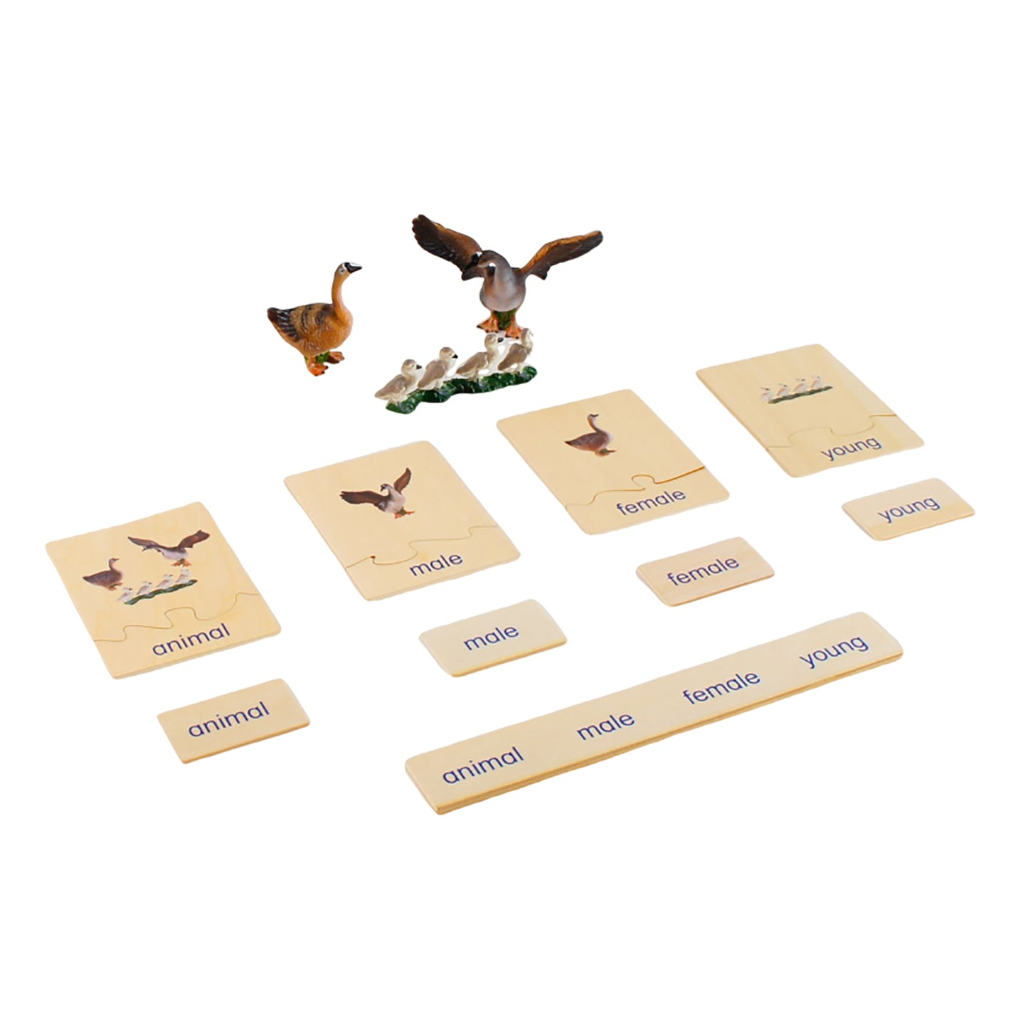 Animal Family- Goose， Custom Text，Bilingual，Monolingual