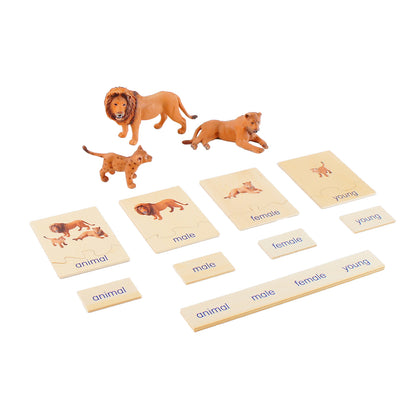 Animal Family- Lion， Custom Text，Bilingual，Monolingual