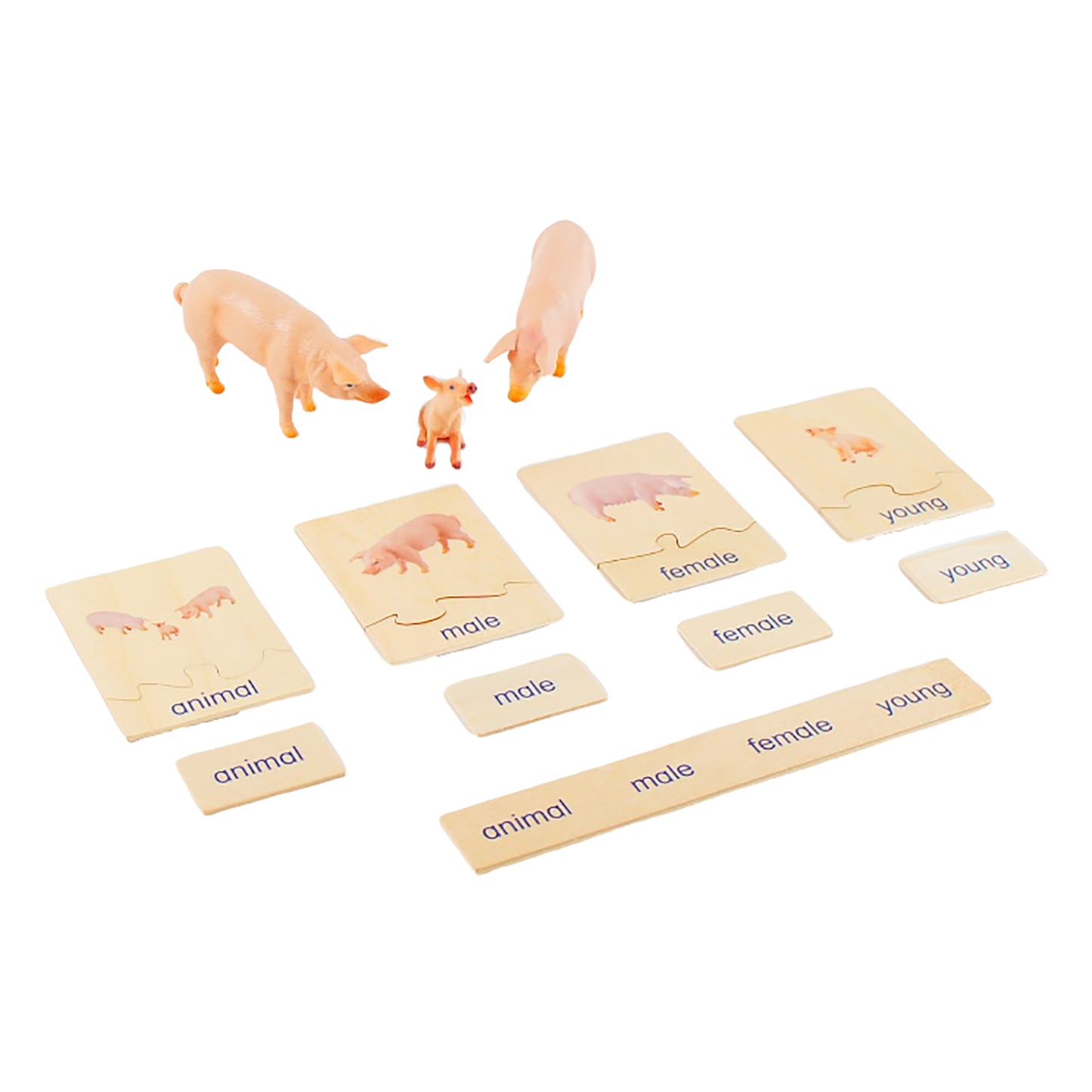 Animal Family- Pig， Custom Text，Bilingual，Monolingual