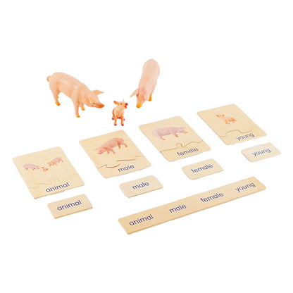 Animal Family- Pig， Custom Text，Bilingual，Monolingual