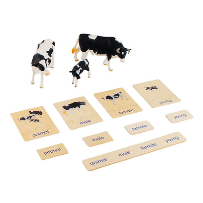 Animal Family- Cattle， Custom Text，Bilingual，Monolingual