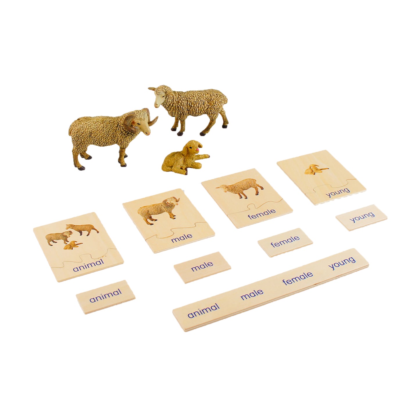 Animal Family- Sheep， Custom Text，Bilingual，Monolingual