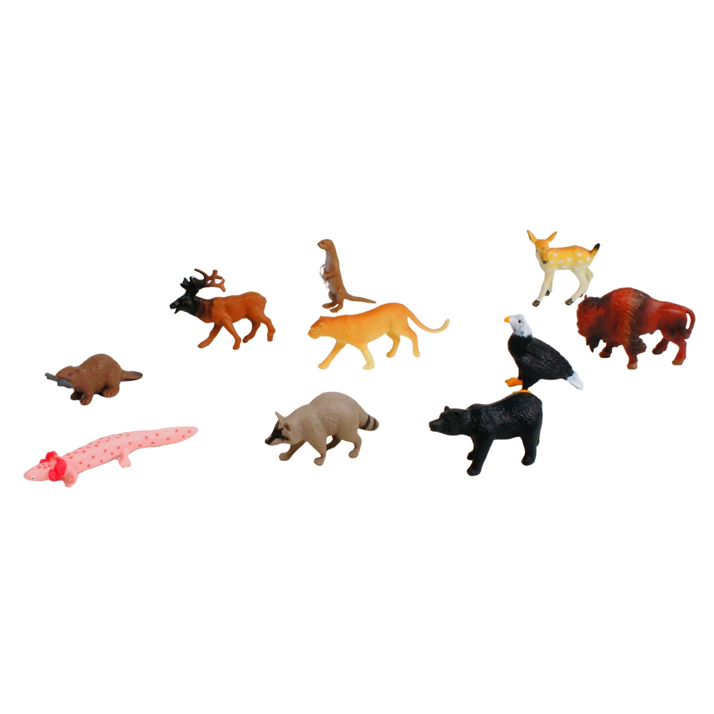 Mini-animaux continentaux – Amérique du Nord, texte personnalisé, bilingue, monolingue