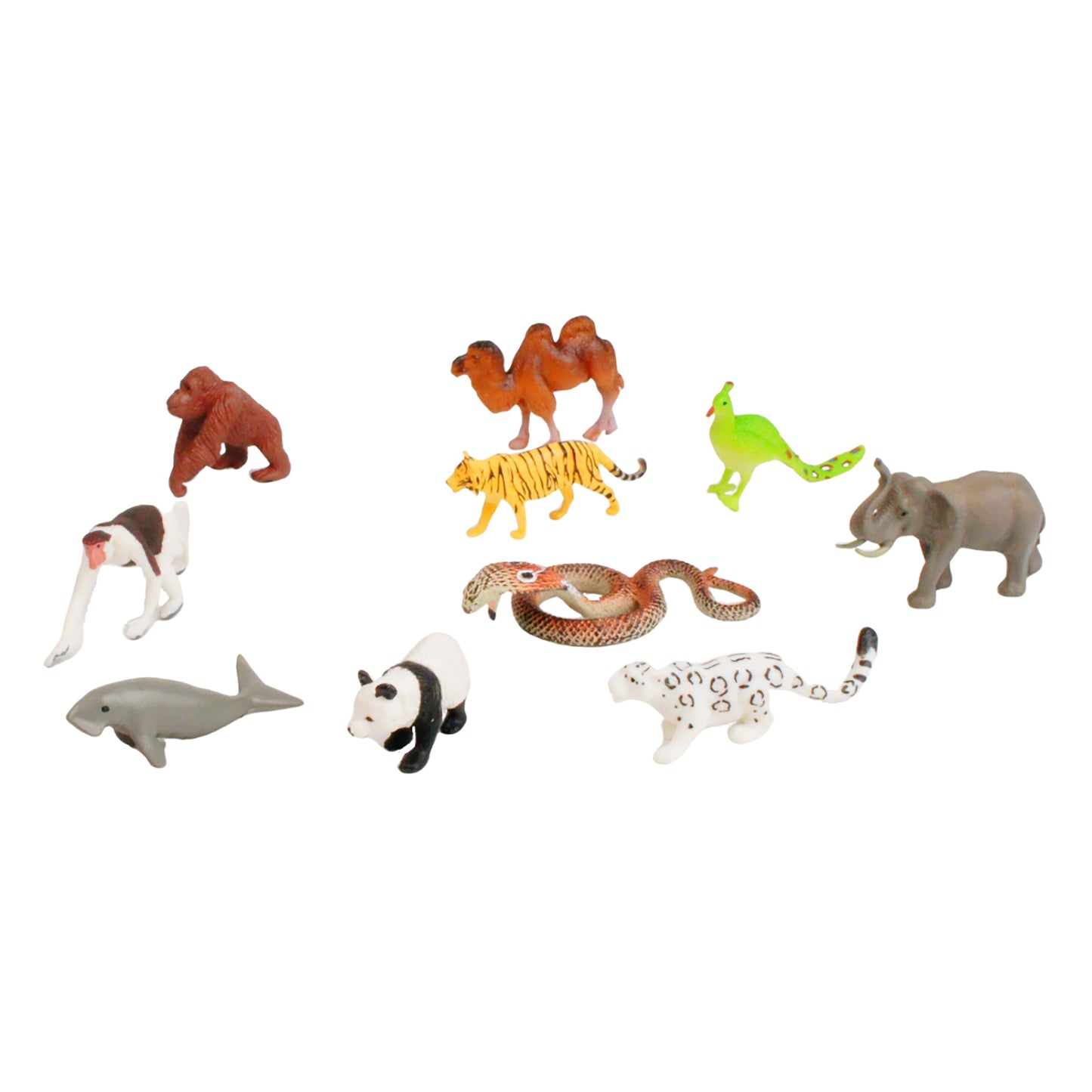Mini Animaux continentaux – Asie, texte personnalisé, bilingue, monolingue
