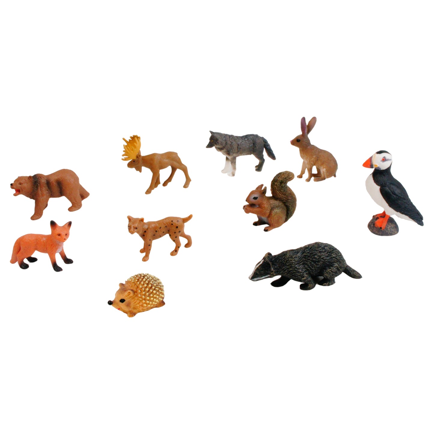 Mini Animaux continentaux – Europe, texte personnalisé, bilingue, monolingue