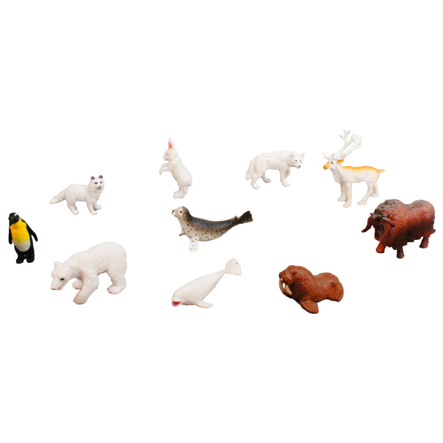 Mini Animaux continentaux – Polaire, texte personnalisé, bilingue, monolingue