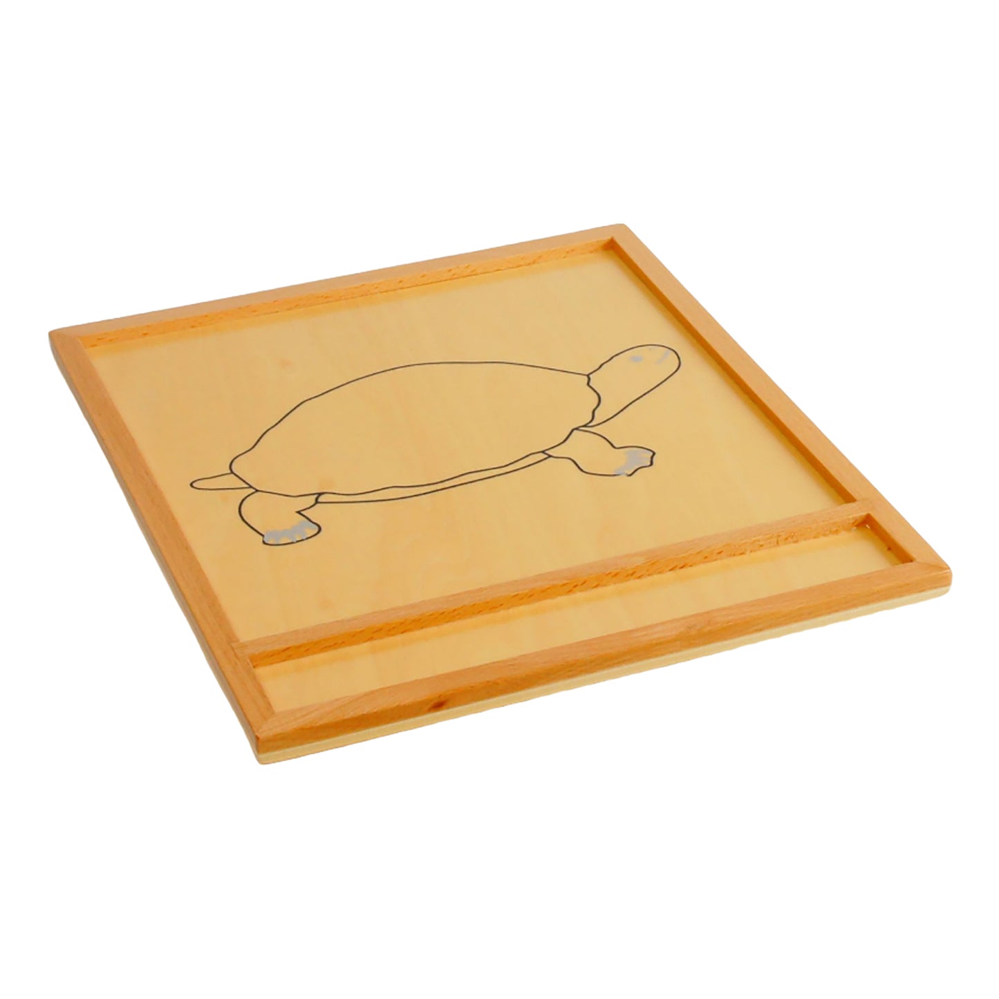 Parts of Animals – Turtle, Custom Text, Bilingual, Monolingual