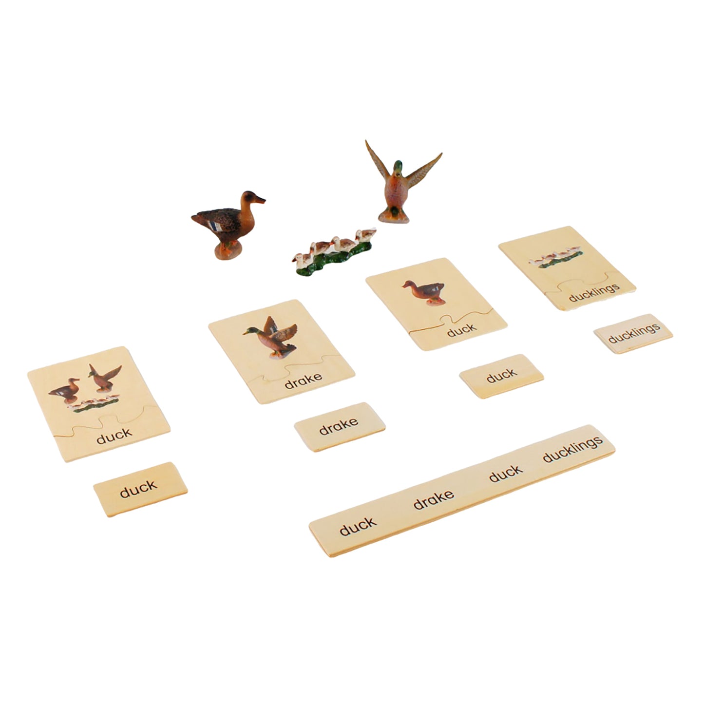 Animal Family- Duck， Custom Text，Bilingual，Monolingual
