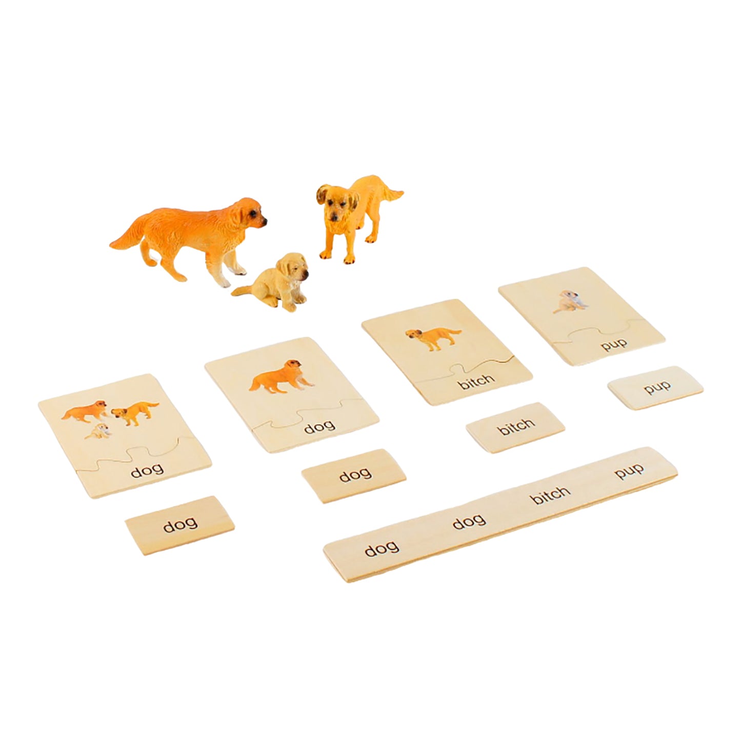Animal Family- Dog， Custom Text，Bilingual，Monolingual