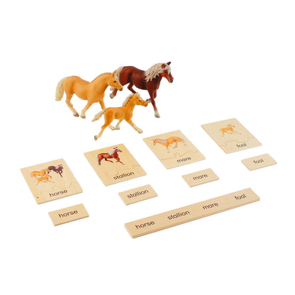 Animal Family- Horse， Custom Text，Bilingual，Monolingual