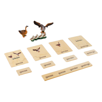 Animal Family- Goose， Custom Text，Bilingual，Monolingual