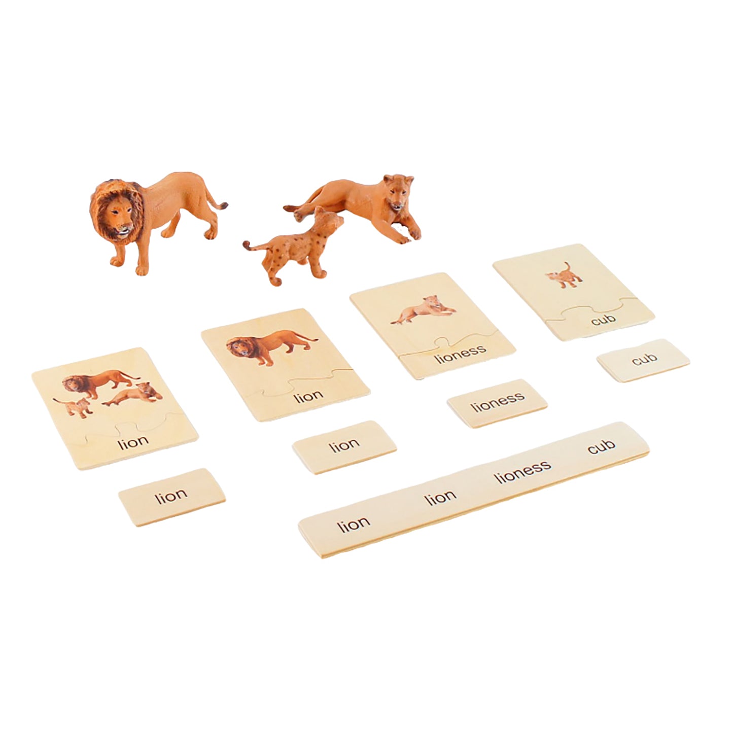 Animal Family- Lion， Custom Text，Bilingual，Monolingual