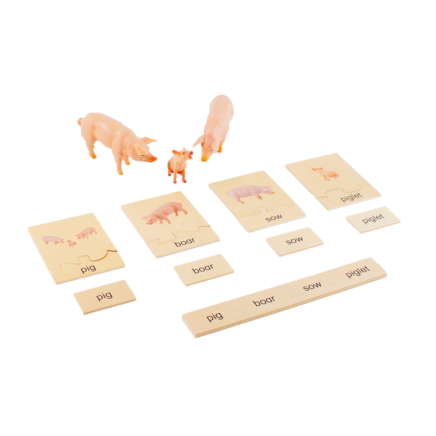 Animal Family- Pig， Custom Text，Bilingual，Monolingual