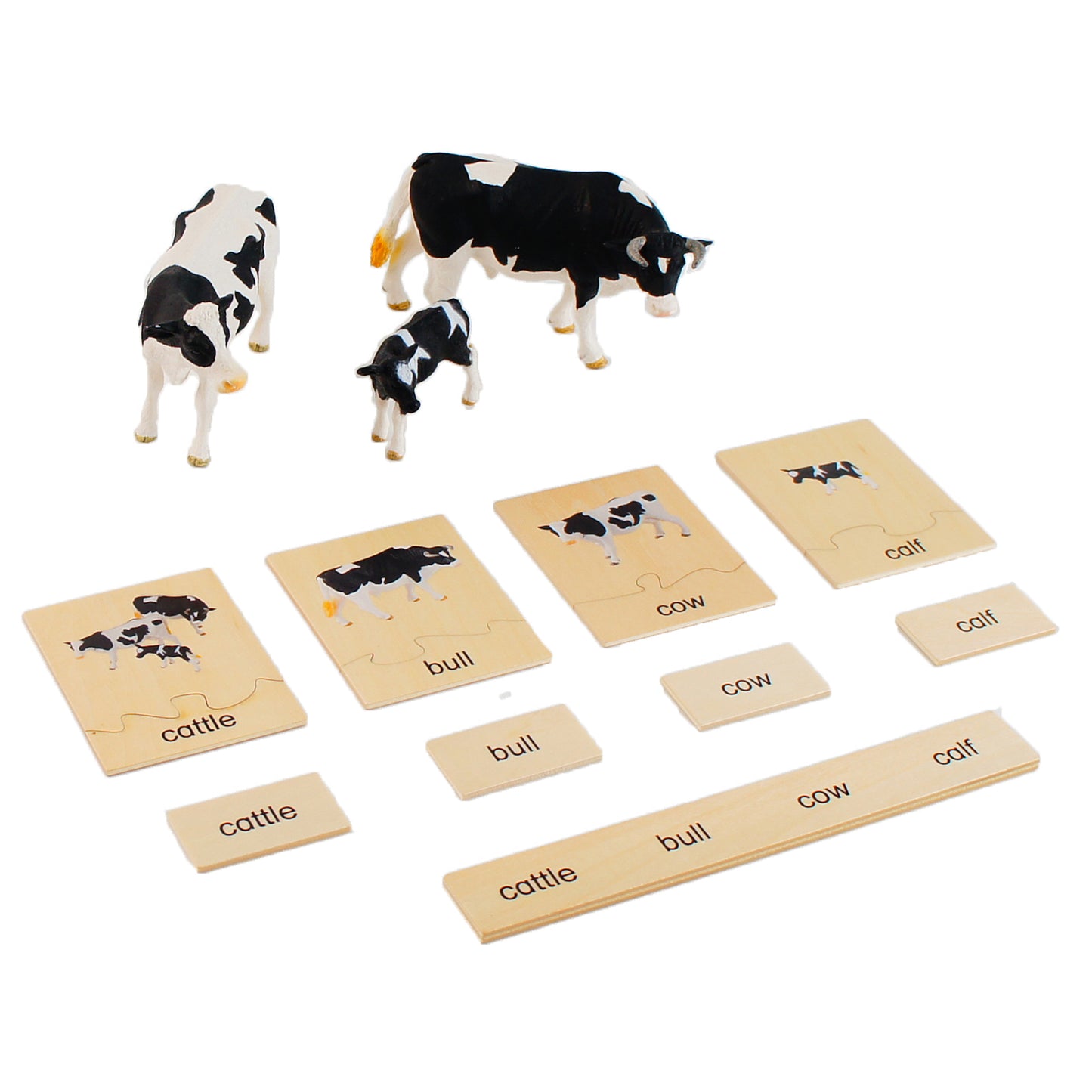 Animal Family- Cattle， Custom Text，Bilingual，Monolingual
