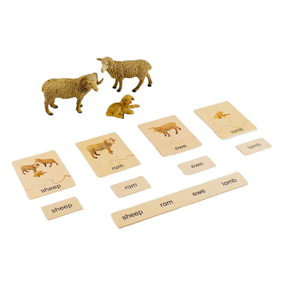 Animal Family- Sheep， Custom Text，Bilingual，Monolingual