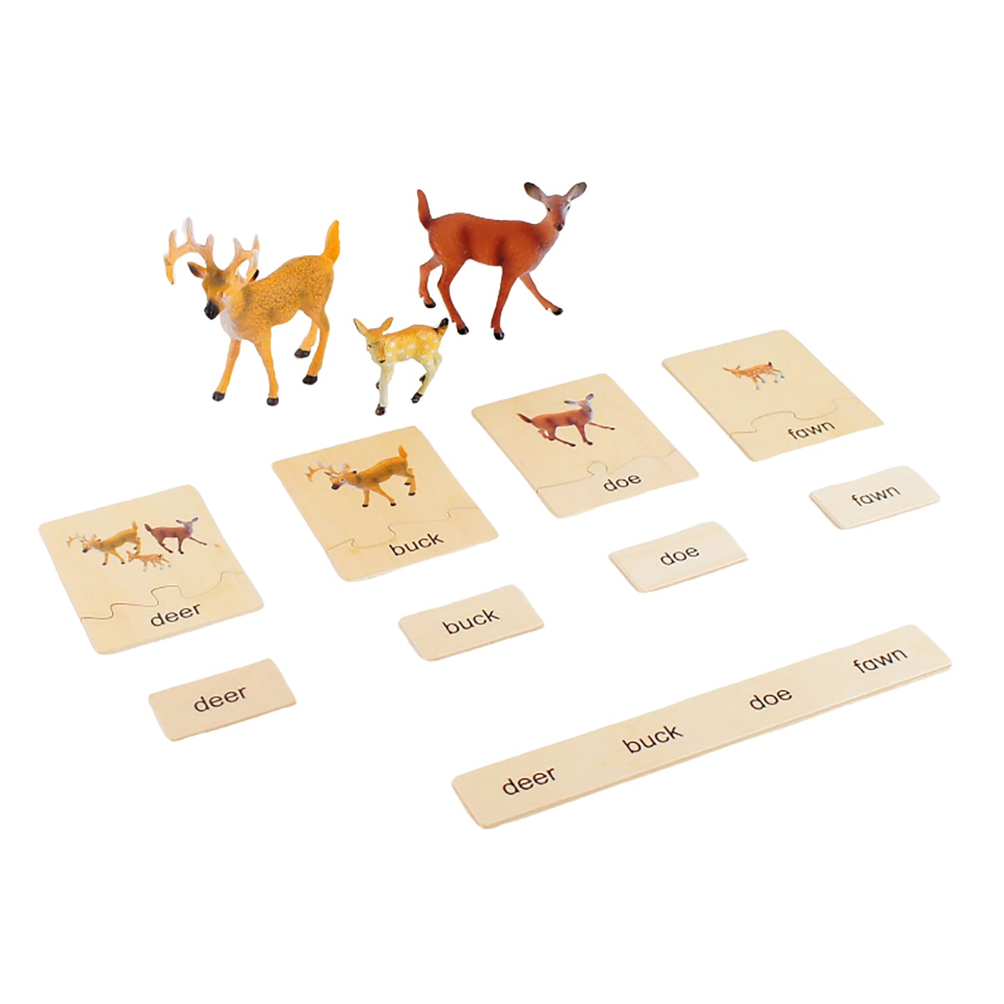 Animal Family- Deer， Custom Text，Bilingual，Monolingual