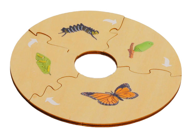 Life Cycle- Butterfly, Custom Text, Bilingual, Monolingual