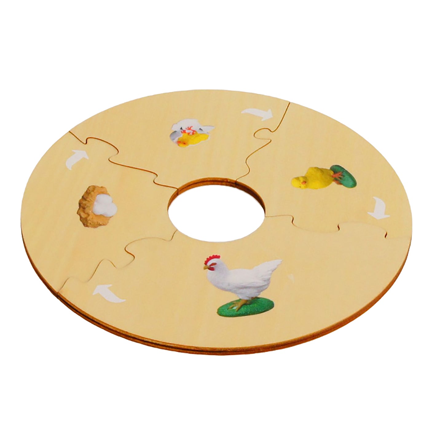 Life Cycle- Chicken, Custom Text, Bilingual, Monolingual