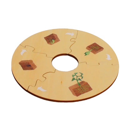 Life Cycle- Bean Plant, Custom Text, Bilingual, Monolingual