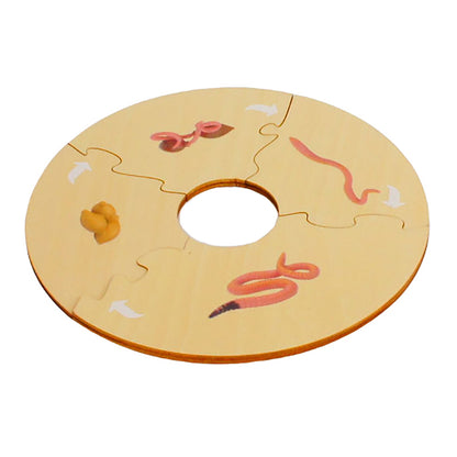 Life Cycle- Worm, Custom Text, Bilingual, Monolingual