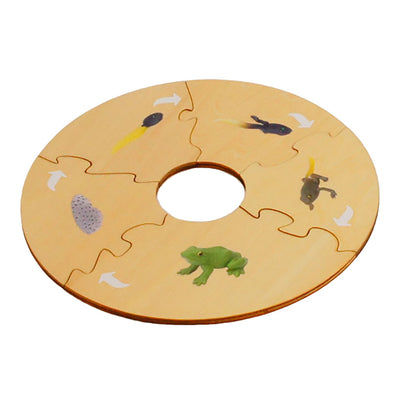 Life Cycle- Frog, Custom Text, Bilingual, Monolingual