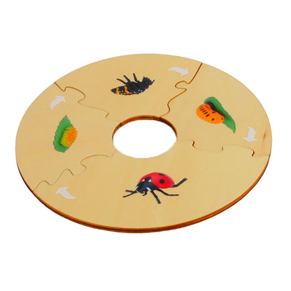 Cycle de vie - Coccinelle, texte personnalisé, bilingue, monolingue