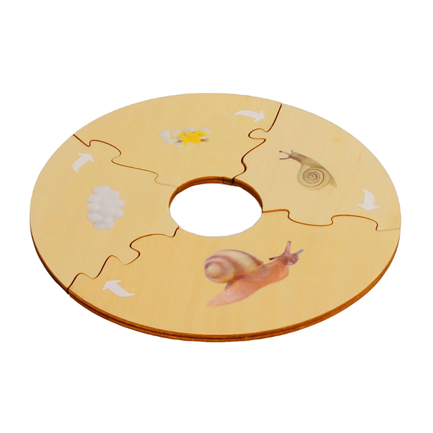 Life Cycle- Snail, Custom Text, Bilingual, Monolingual