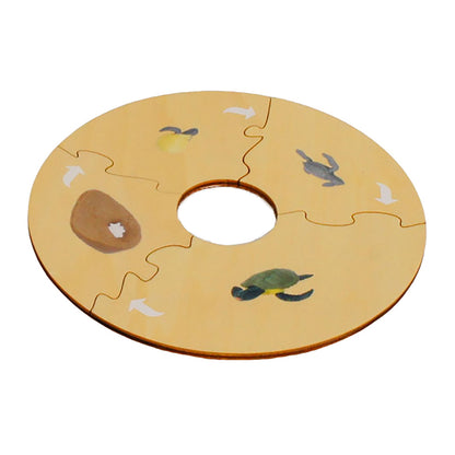 Life Cycle- Sea Turtle, Custom Text, Bilingual, Monolingual