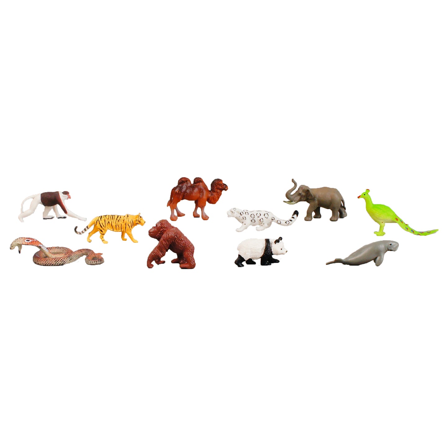 Mini Animaux continentaux – Asie, texte personnalisé, bilingue, monolingue