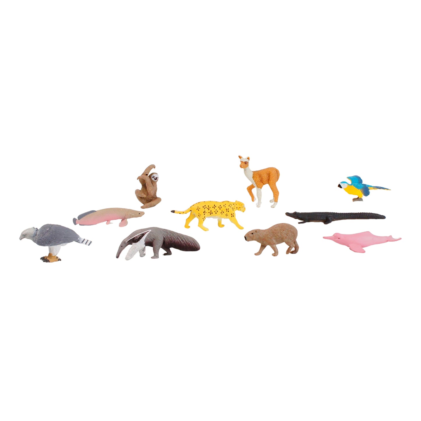 Écosystème – Animaux de la forêt tropicale, texte personnalisé, bilingue, monolingue
