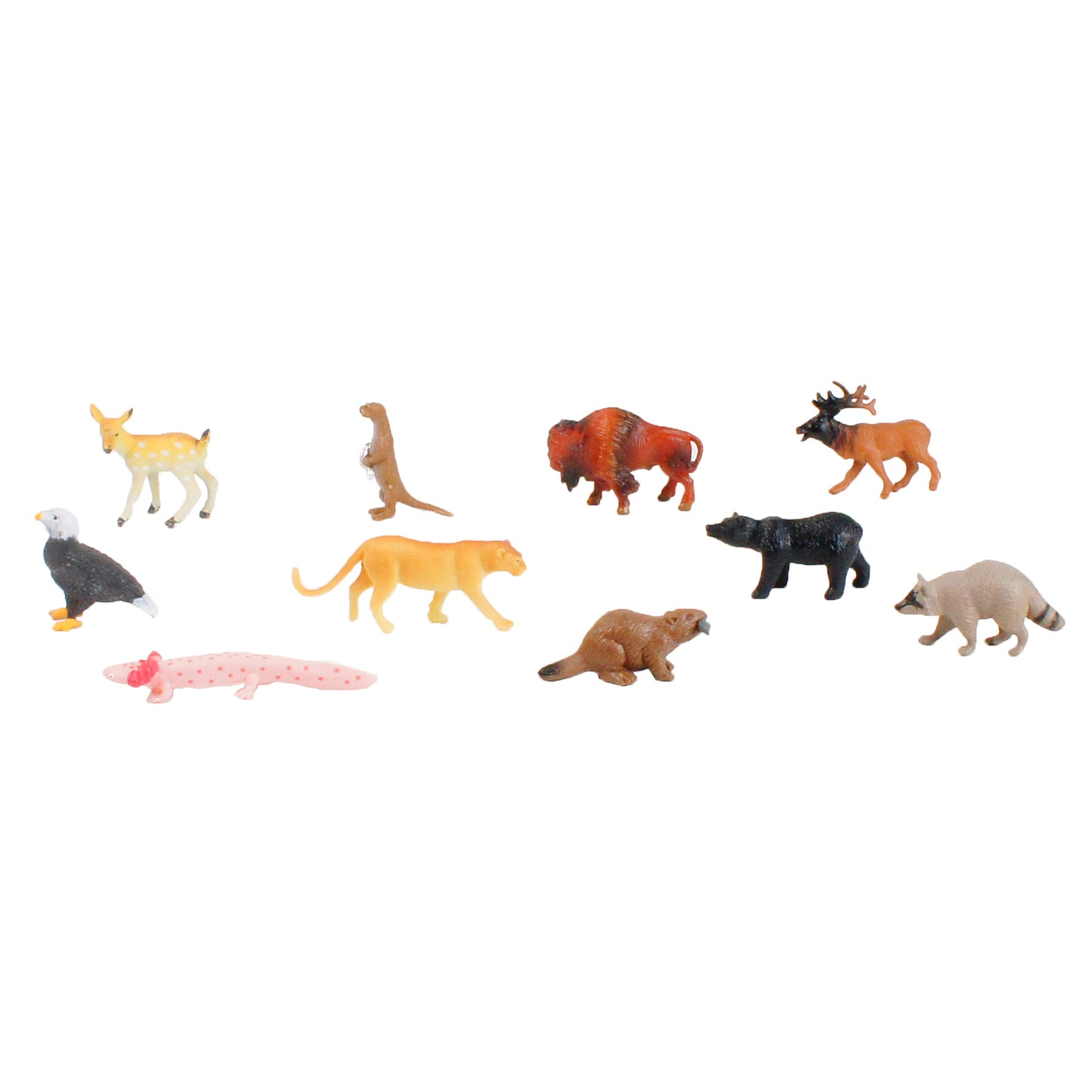 Mini-animaux continentaux – Amérique du Nord, texte personnalisé, bilingue, monolingue