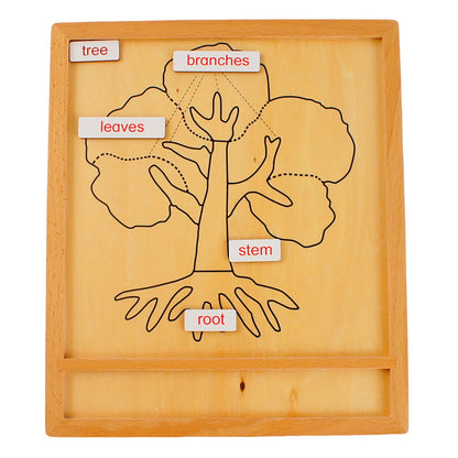 Parts of Plants - Tree, Custom Text, Bilingual, Monolingual
