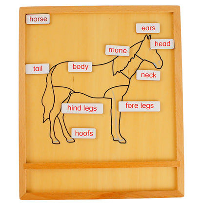 Parts of Animals - Horse, Custom Text, Bilingual, Monolingual