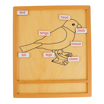 Parts of Animals - Bird, Custom Text, Bilingual, Monolingual